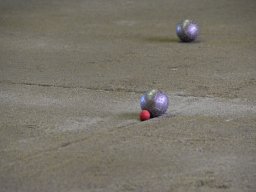 dsc_0595